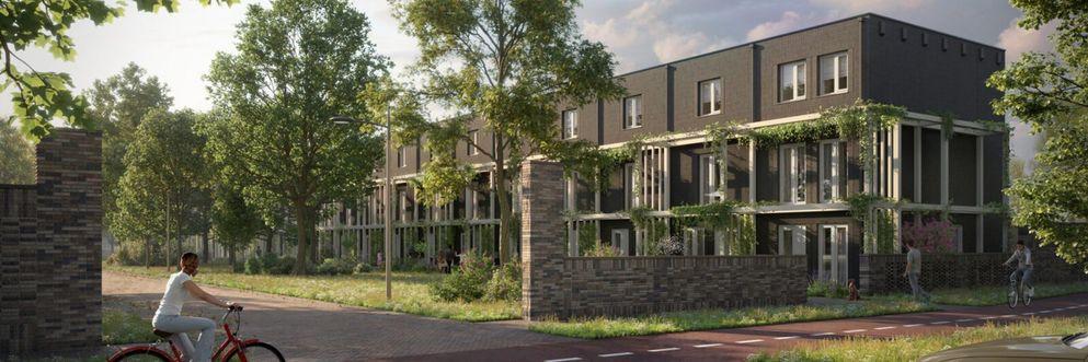 Oostelijke Lanen en Groene Lanen